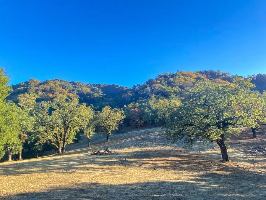 22 Arroyo Sequoia, Carmel, CA 93923 - Image #3