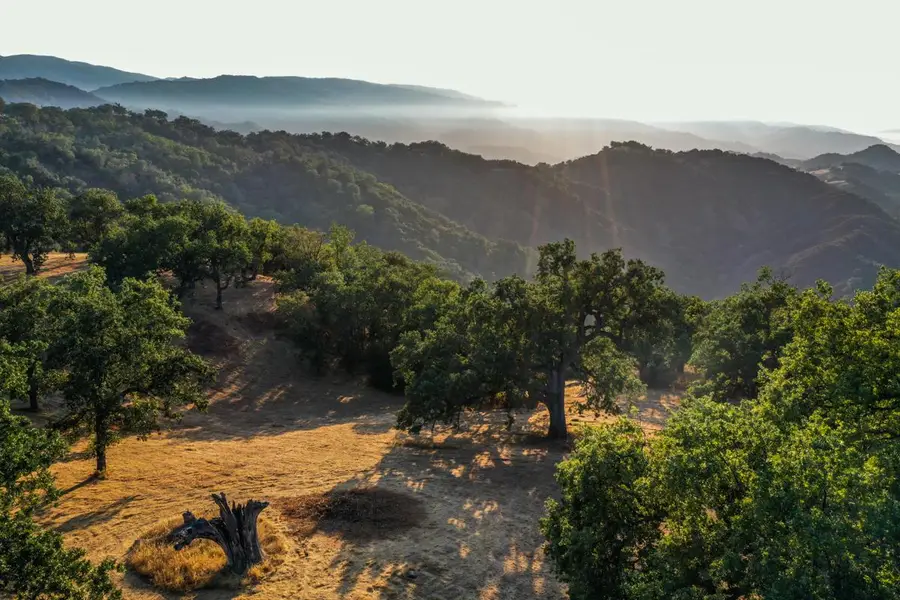 21 Long Ridge Trail, Carmel, CA 93923 - Image #2