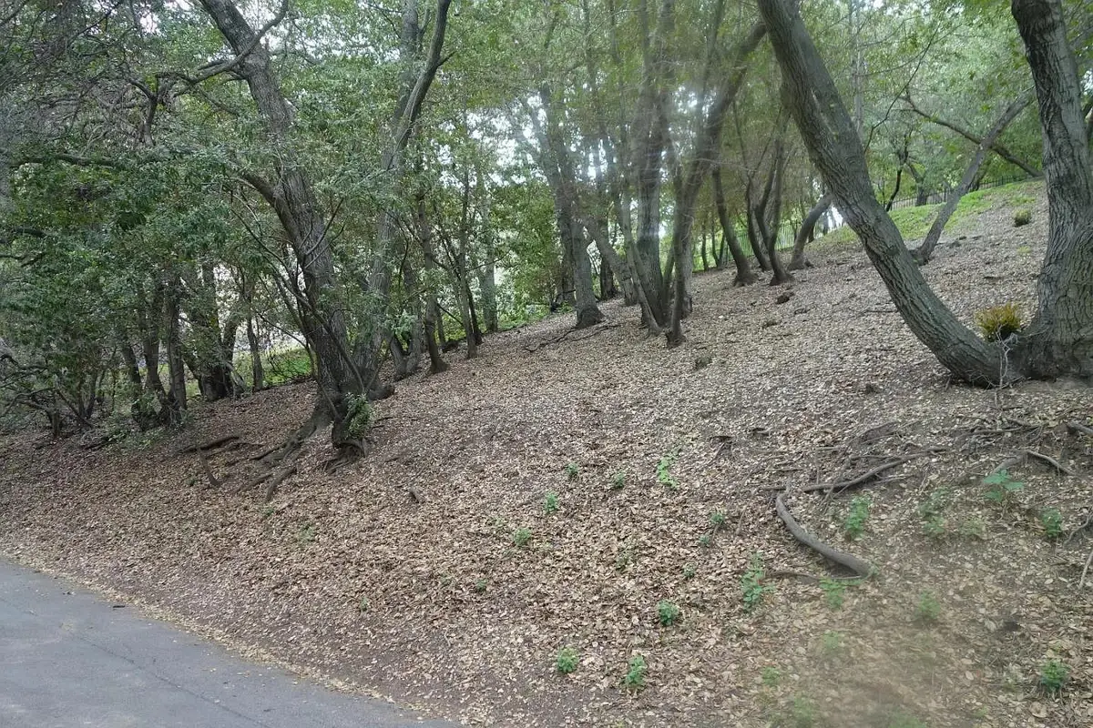 0 Greenridge Terrace, Los Gatos, CA 95032 - Image #1