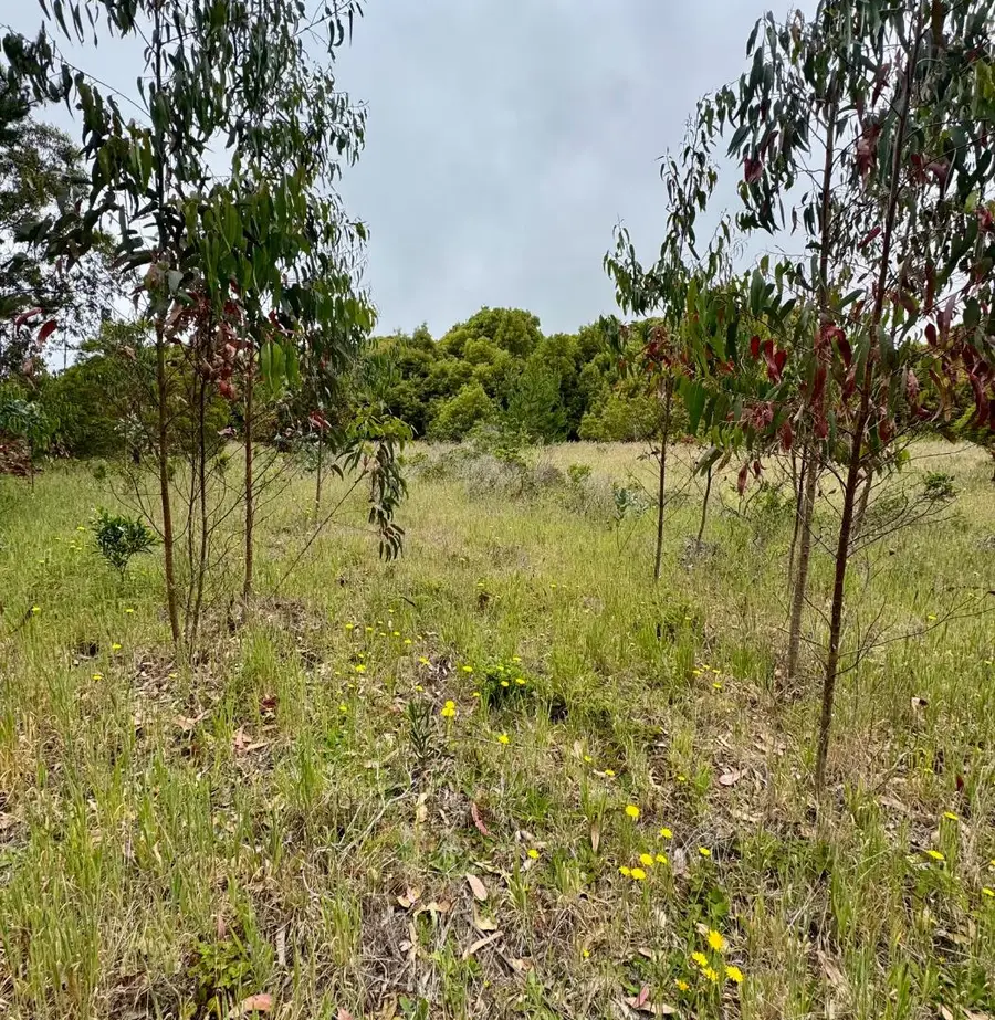 00 Bonita, Half Moon Bay, CA 94019 - Image #2