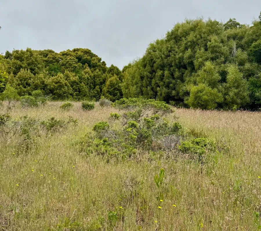 00 Bonita, Half Moon Bay, CA 94019 - Image #3