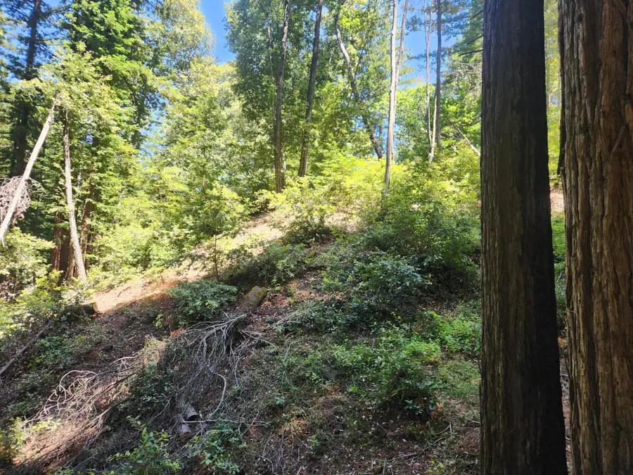 0 Lost Valley Road, Los Gatos, CA 95033 - Image #3