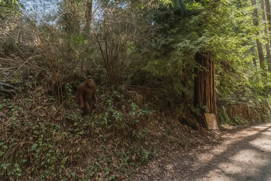 Lot 28 La Lena Street, Felton, CA 95018 - Image #3