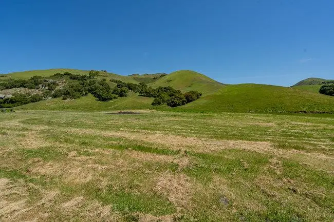 100 Old Stage Rd, San Juan Bautista, CA 95045 - Image #2
