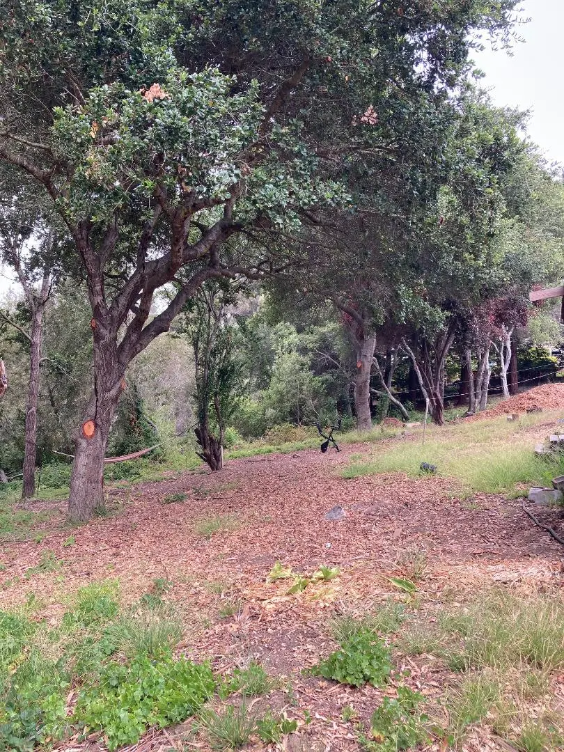 514 Meder Street, Santa Cruz, CA 95060 - Image #2