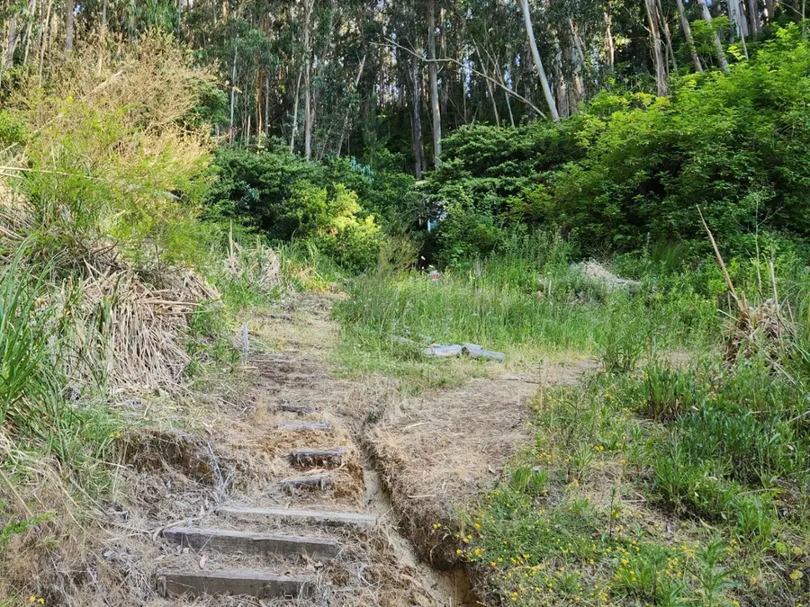 00 Adobe Drive, Pacifica, CA 94044 - Image #3