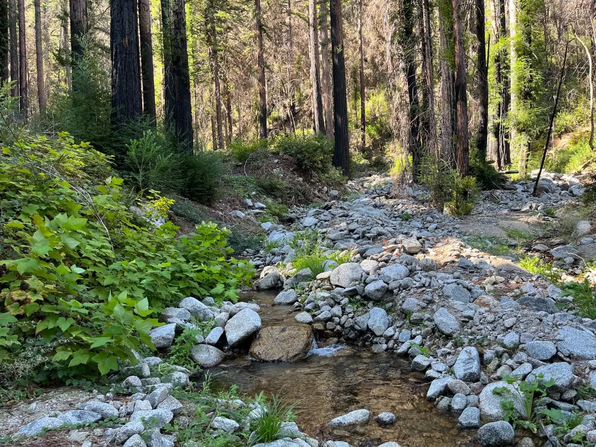 Lot 04 Boulder Brook Drive, Boulder Creek, CA 95006 - Image #1