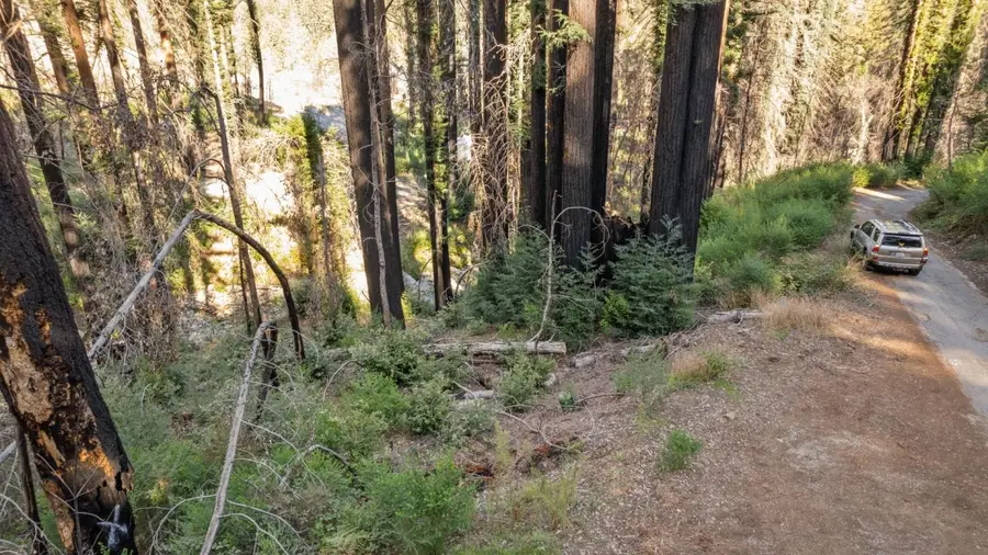 Lot 04 Boulder Brook Drive, Boulder Creek, CA 95006 - Image #3