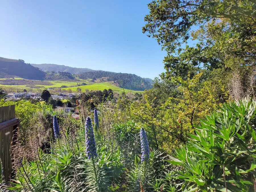 3528 Lazarro Drive, Carmel, CA 93923 - Image #3