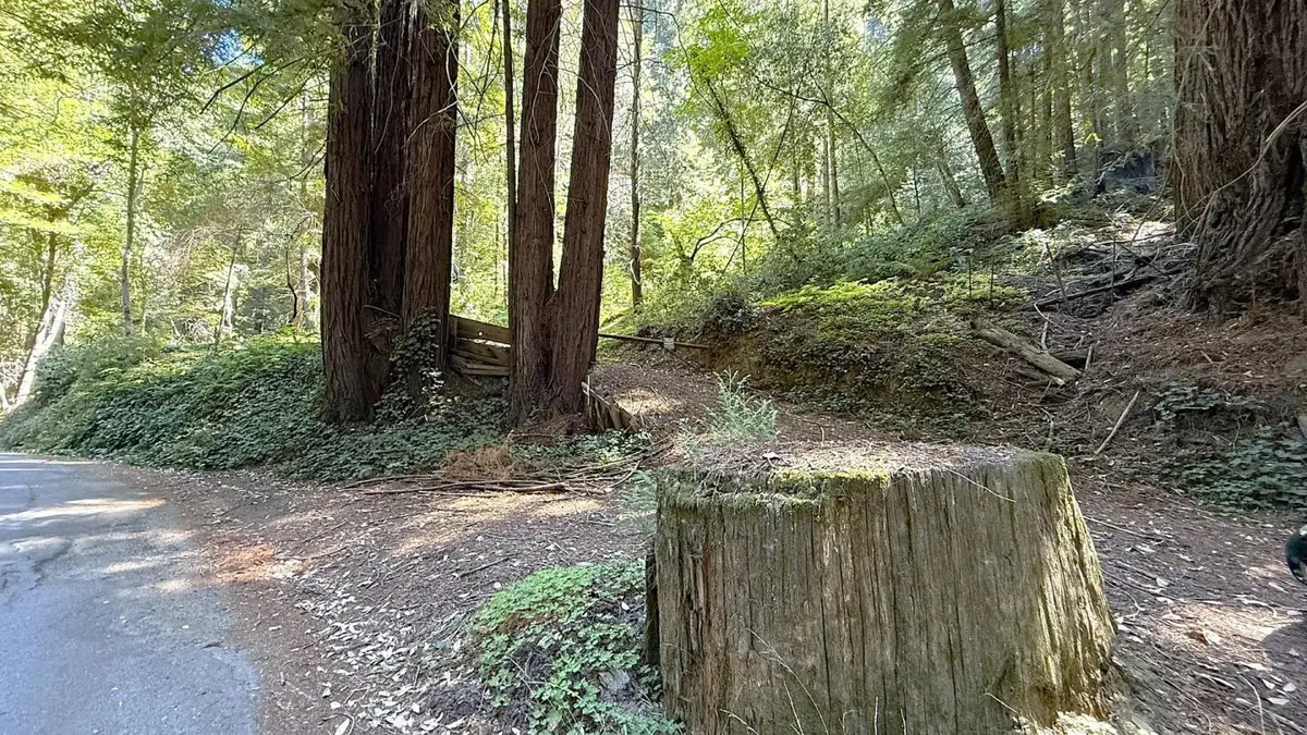 15645 Stetson Road, Los Gatos, CA 95033 - Image #1