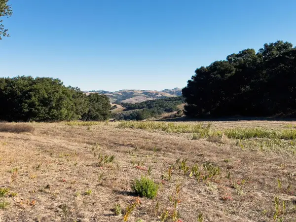 7 Holding Field Run, Carmel Valley, CA 93923