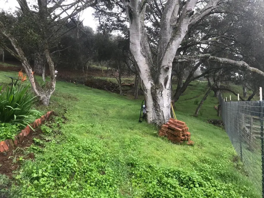 6967 Valle Pacifico Road, Salinas, CA 93907 - #3