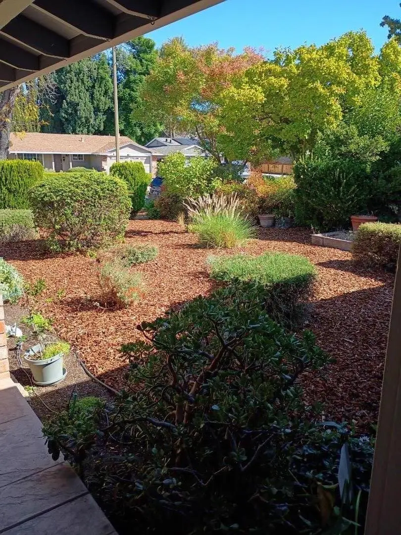 734 Pronto Drive, San Jose, CA 95123 - Image #2