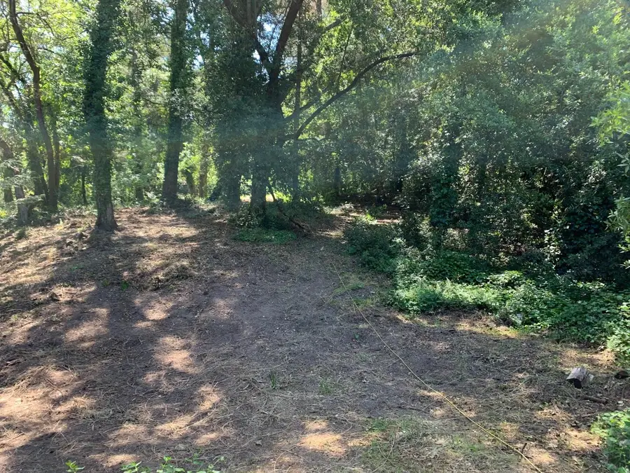 20406 Harvey Way, Los Gatos, CA 95033 - #3