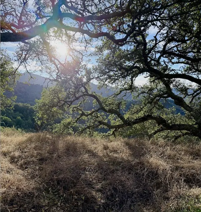 0 Via Vespero, San Jose, CA 95120 - #1