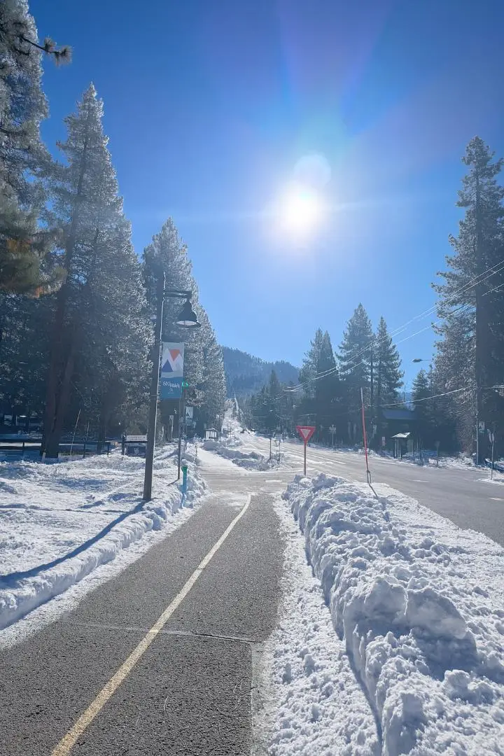 1177 Ski Run Boulevard, South Lake Tahoe, CA 96150 - Image #3