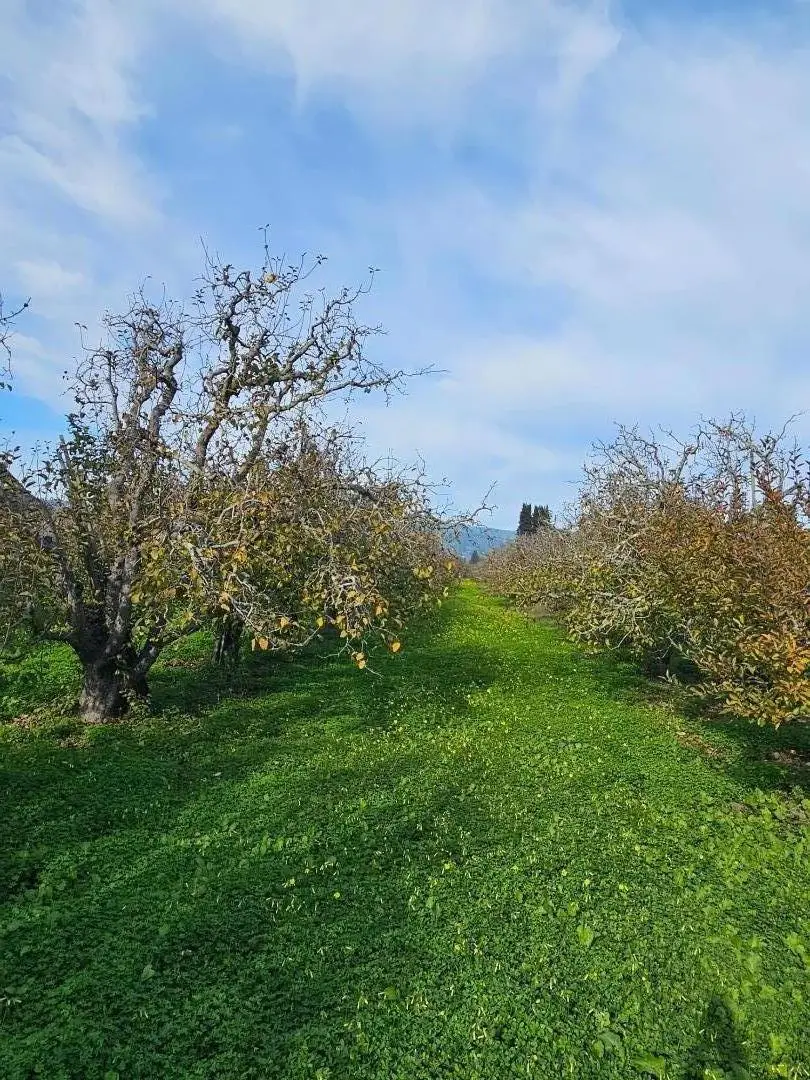0 Varni Rd, Watsonville, CA 95076 - Image #1