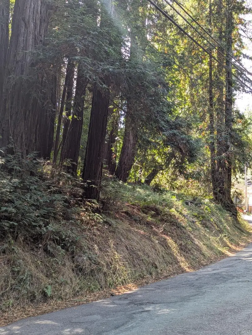 8055 Glen Haven Road, Soquel, CA 95073 - #2