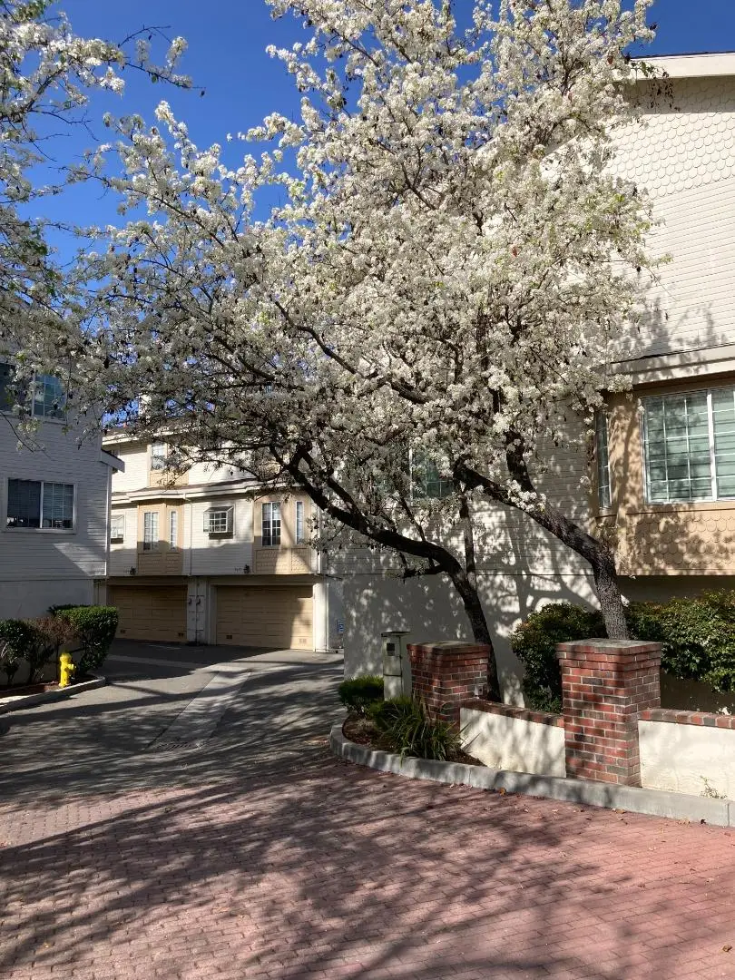 3673 S Bascom Avenue, Campbell, CA 95008 - Image #1