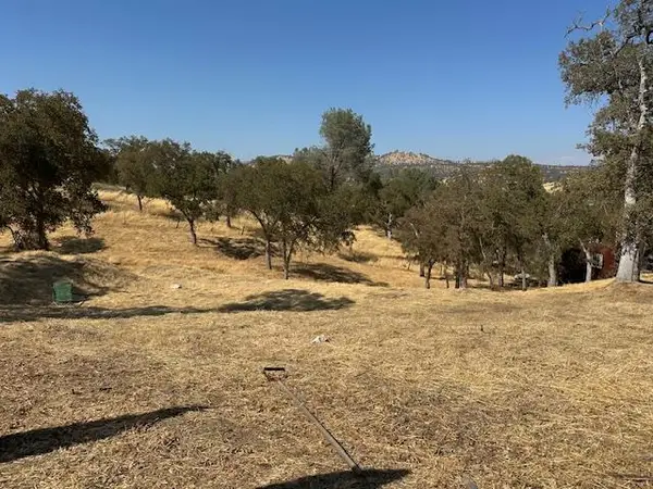 4227 Council Trail, Copperopolis, CA 95228