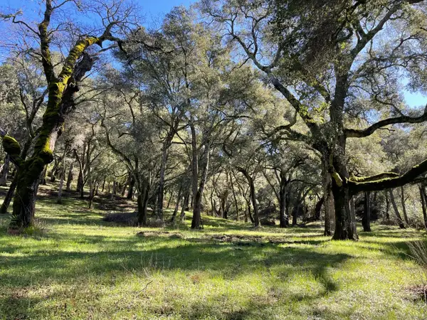 10 Garzas Trail, Carmel, CA 93923