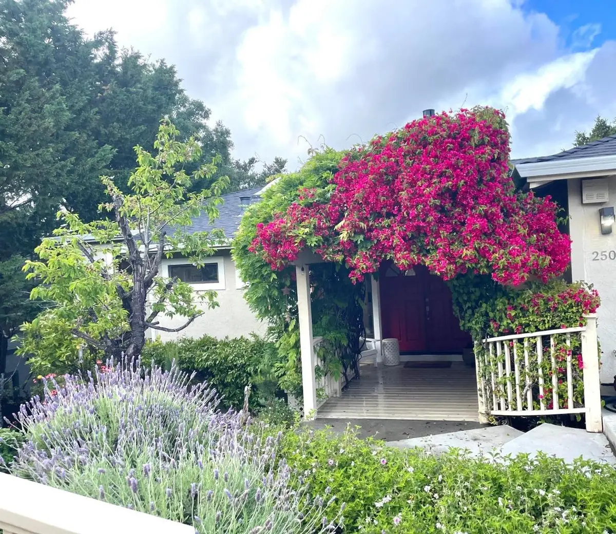 2506 Ralston Avenue, Belmont, CA 94002 - #1