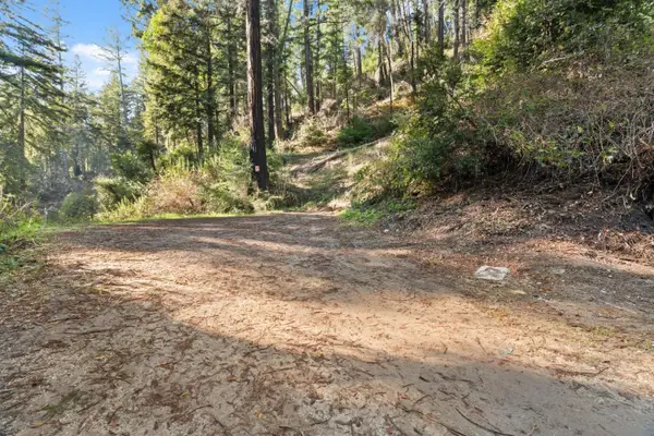 160 Starview Place, Boulder Creek, CA 95006