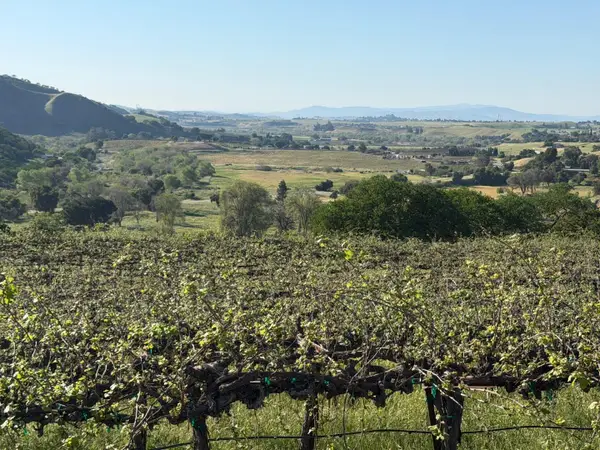 120 Acres Airline Highway, Tres Pinos, CA 95075