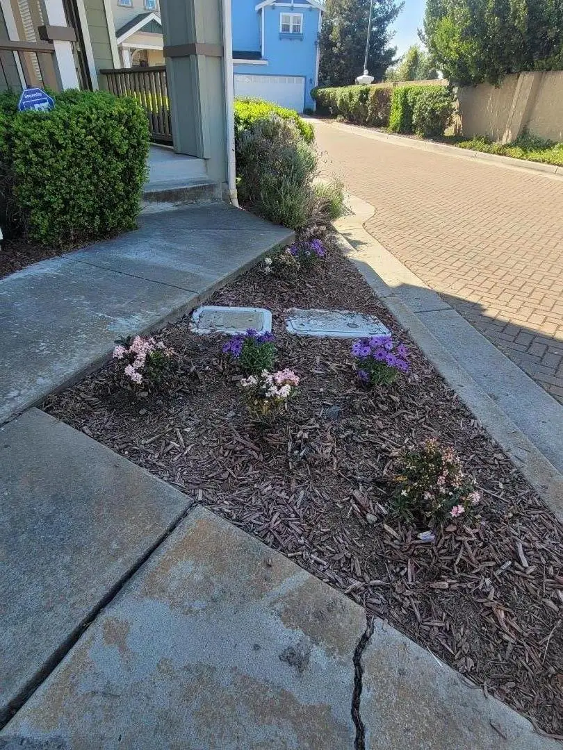 7350 Carter Avenue, Newark, CA 94560 - #3