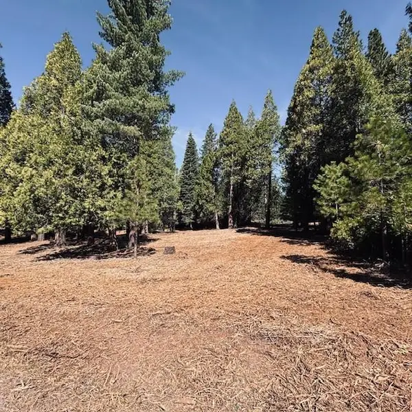 790 Red River Drive, Other - See Remarks, CA 96137