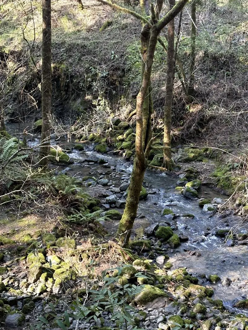 11930 Graton Road, Sebastopol, CA 95472 - #2