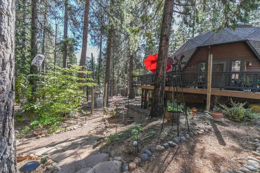 20175 Pine Drive, Pioneer, CA 95666 - #2