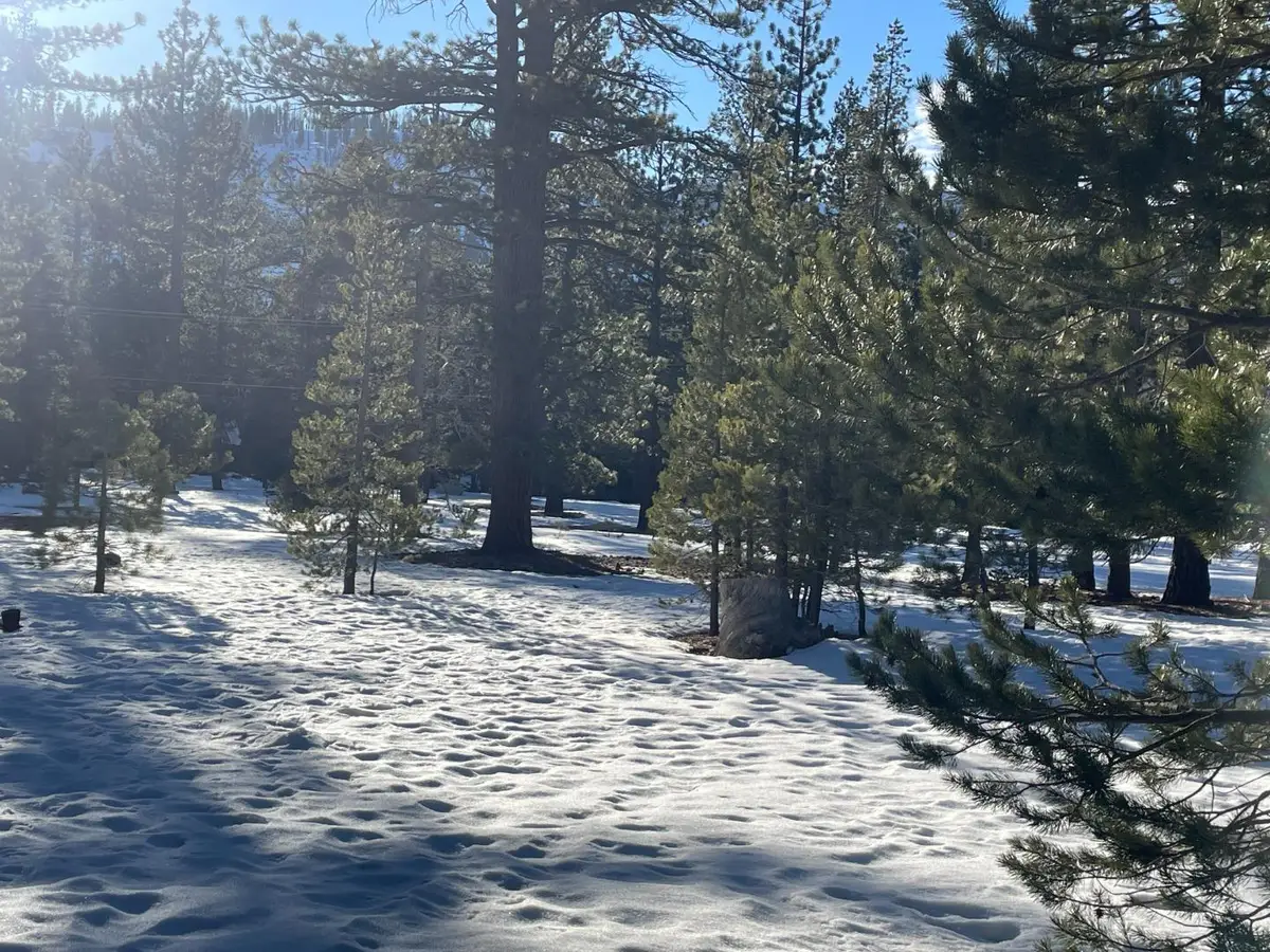 Address Withheld By Seller, South Lake Tahoe, CA 96150 - #1