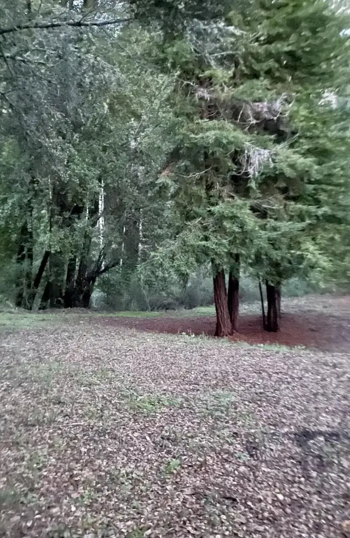 00 Long Branch Road, Los Gatos, CA 95033 - #1