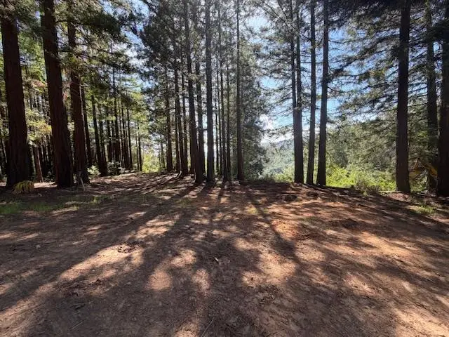 7175 Redwood Retreat, Gilroy, CA 95020 - #2