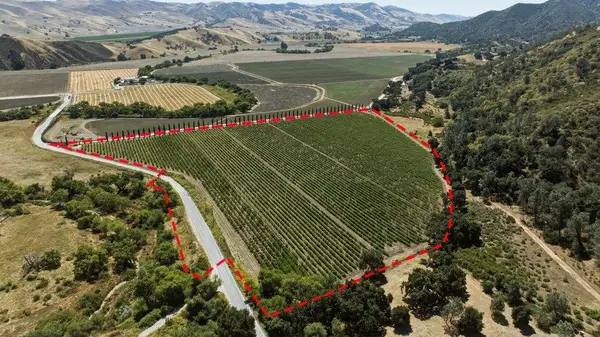 24.5 Acres Cienega Road, Hollister, CA 95023