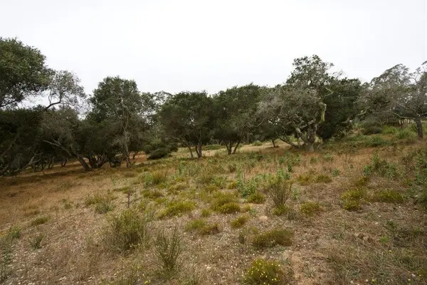 0 Valle Pacifico Road, Salinas, CA 93907