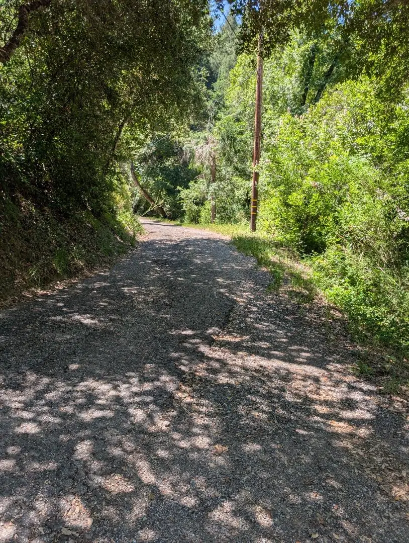 18770 Kelly (mustang Mesa), Boulder Creek, CA 95006 - #1
