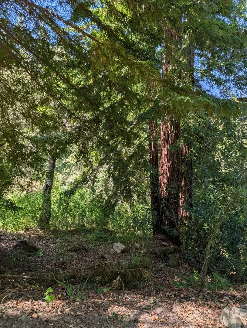 18770 Kelly (mustang Mesa), Boulder Creek, CA 95006 - #3
