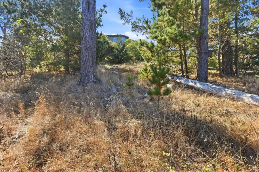 920 Irving Street, Montara, CA 94037 - #2