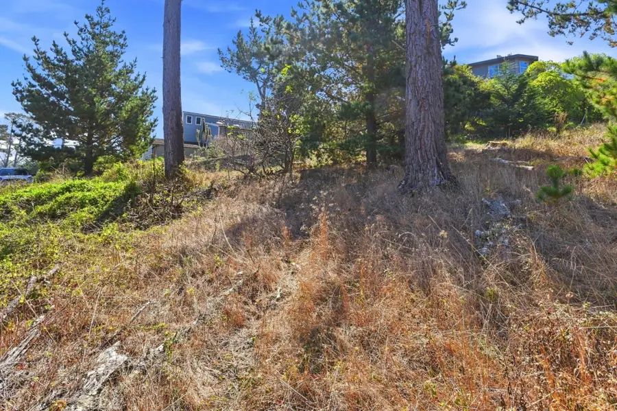 920 Irving Street, Montara, CA 94037 - #3