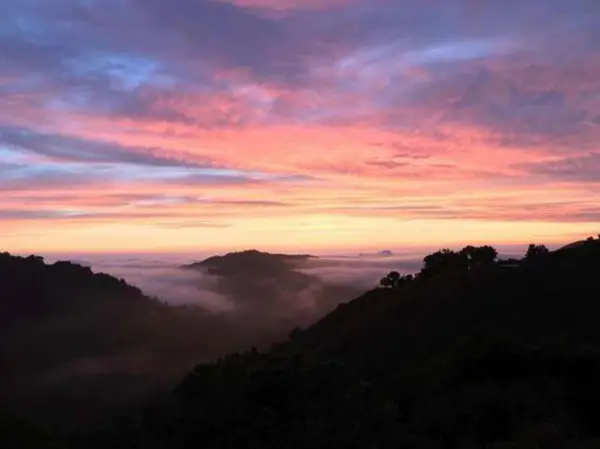38711 Palo Colorado Road, Carmel, CA 93923