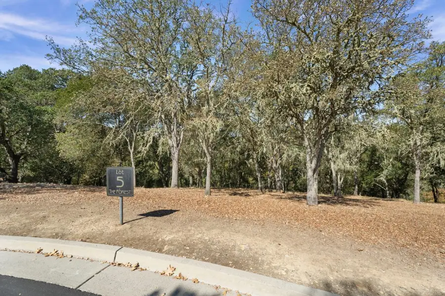 8351 Winter Green Court, Gilroy, CA 95020 - #3