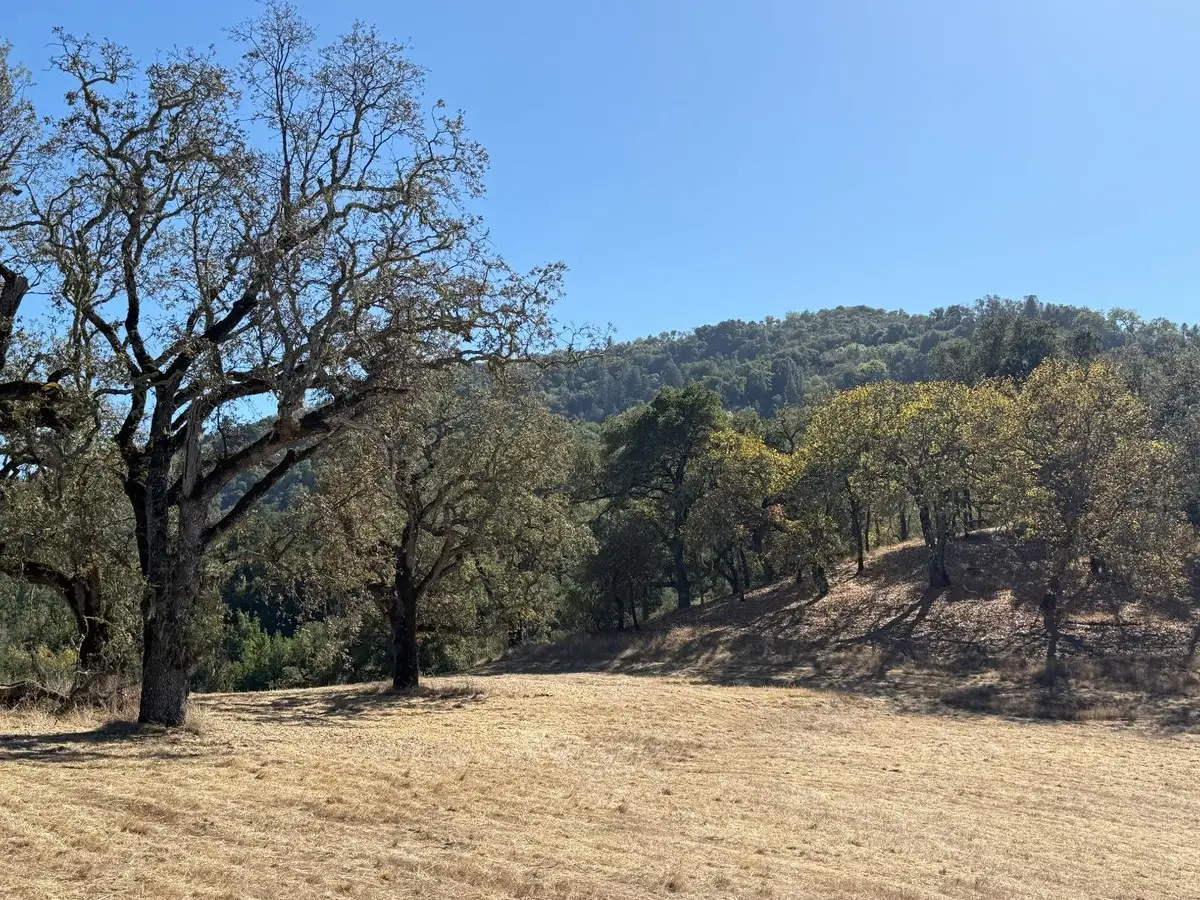 39 Arroyo Sequoia (lot 114), Carmel, CA 93923 - #1