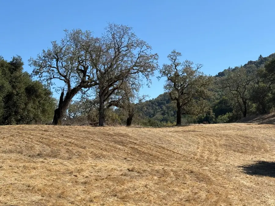 39 Arroyo Sequoia (lot 114), Carmel, CA 93923 - #2