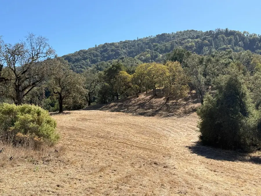39 Arroyo Sequoia (lot 114), Carmel, CA 93923 - #3