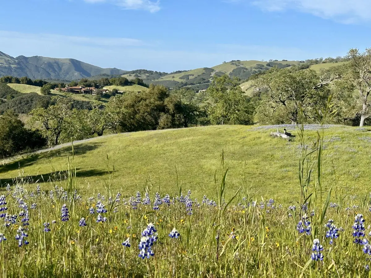 8 Touche Pass (lot 158), Carmel, CA 93923 - #1