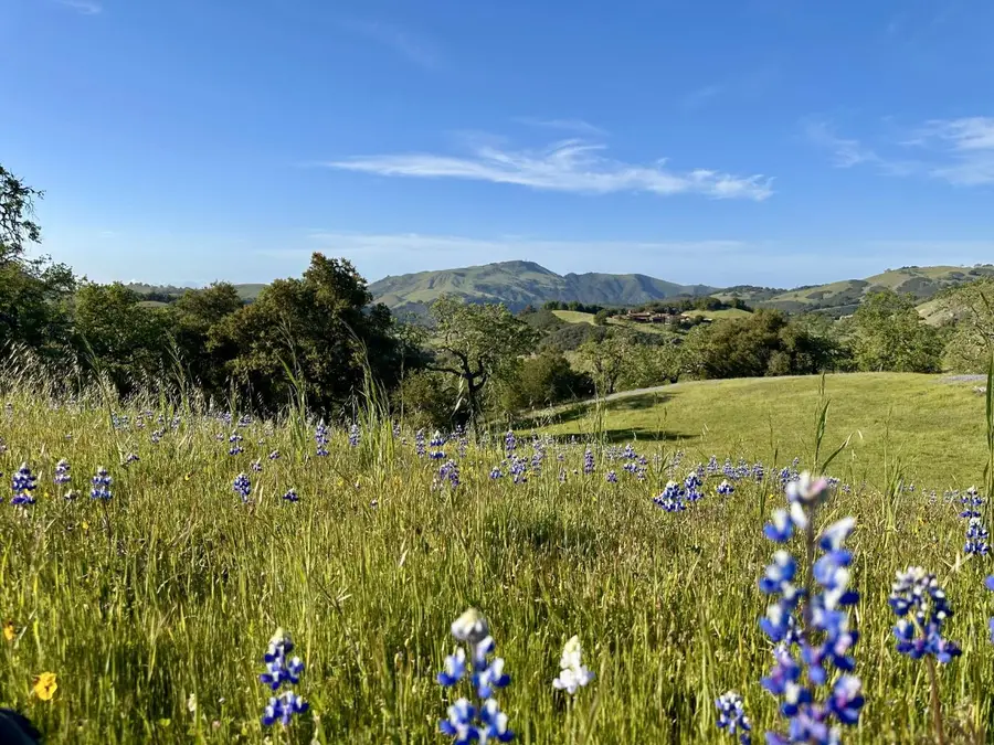8 Touche Pass (lot 158), Carmel, CA 93923 - #2