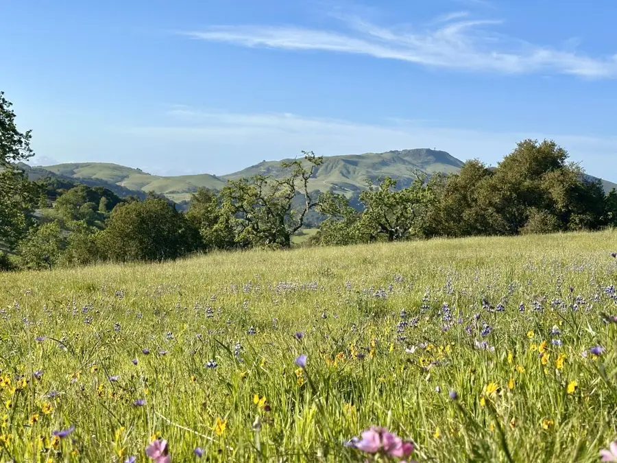 8 Touche Pass (lot 158), Carmel, CA 93923 - #3