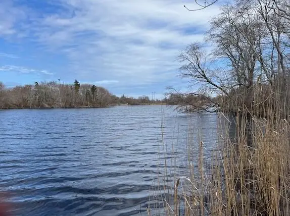 32 Locust Road, Orleans, MA 02653 - Image #3